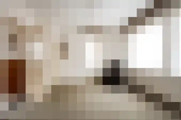 Dorpsstraat 42 Woensdrecht thumbnail 9