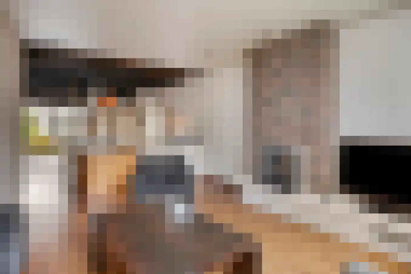 Dorpsstraat 43 Koudekerk aan den Rijn thumbnail 13