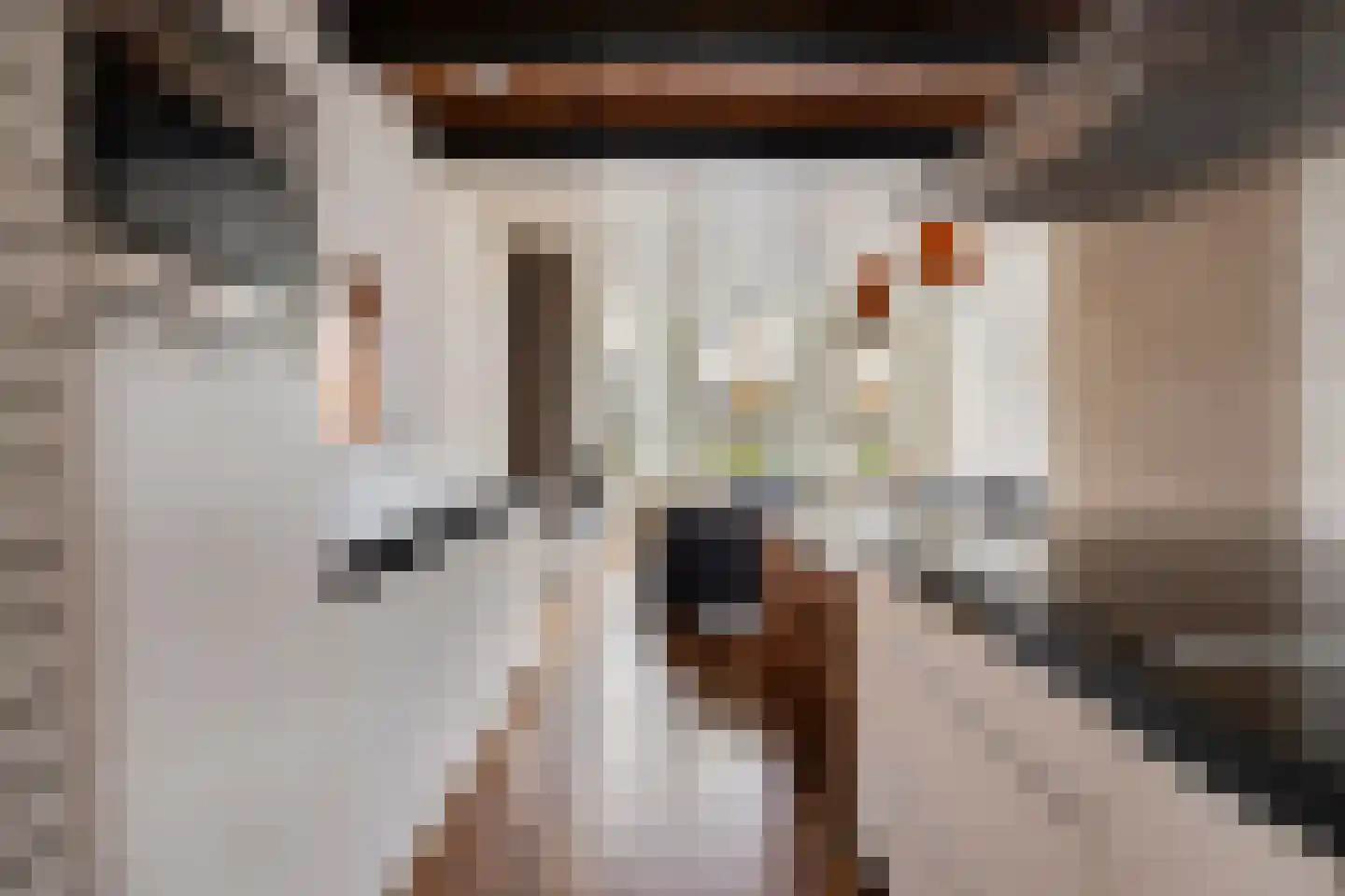 Dorpsstraat 43 Koudekerk aan den Rijn thumbnail 18