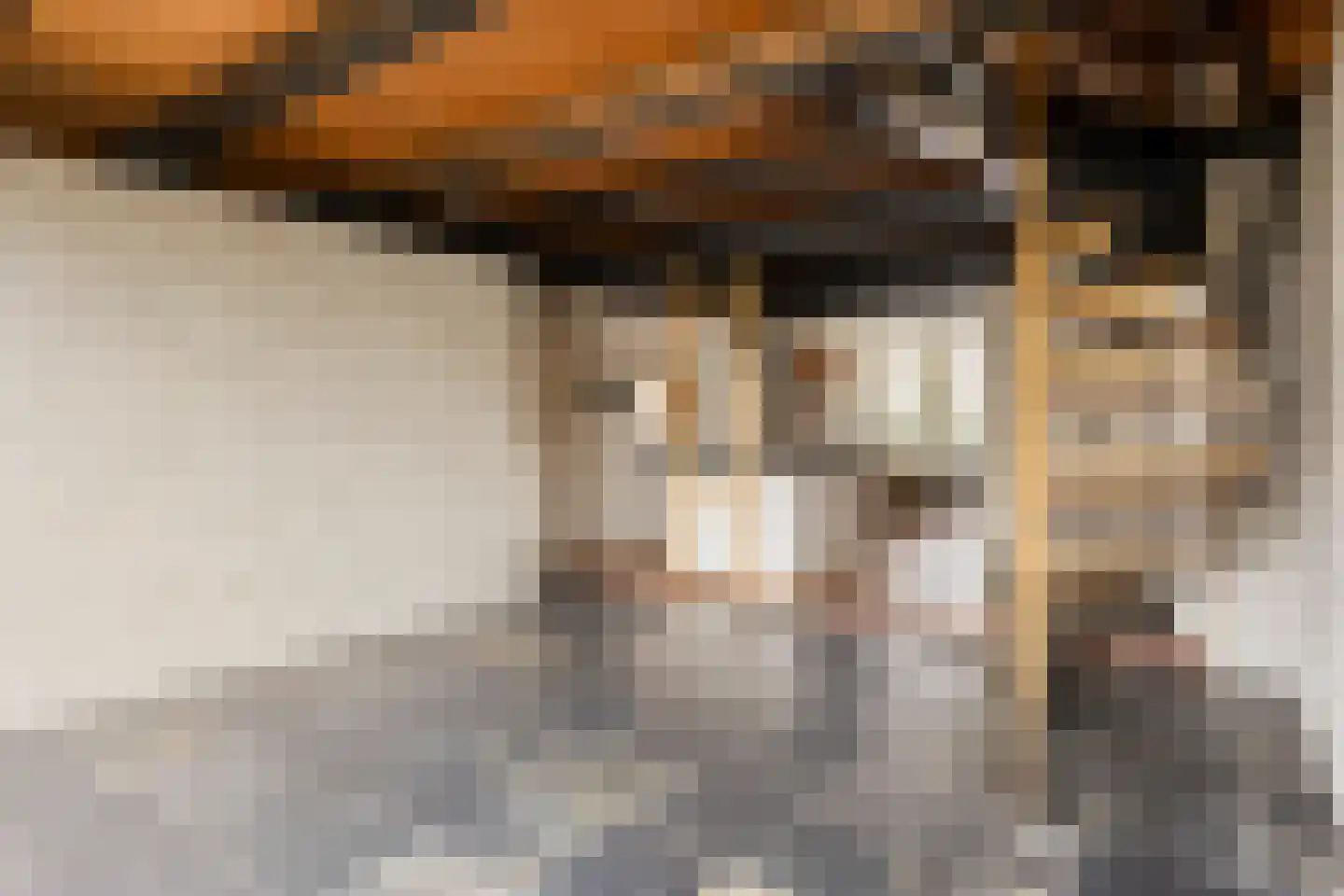 Dorpsstraat 43 Koudekerk aan den Rijn thumbnail 21