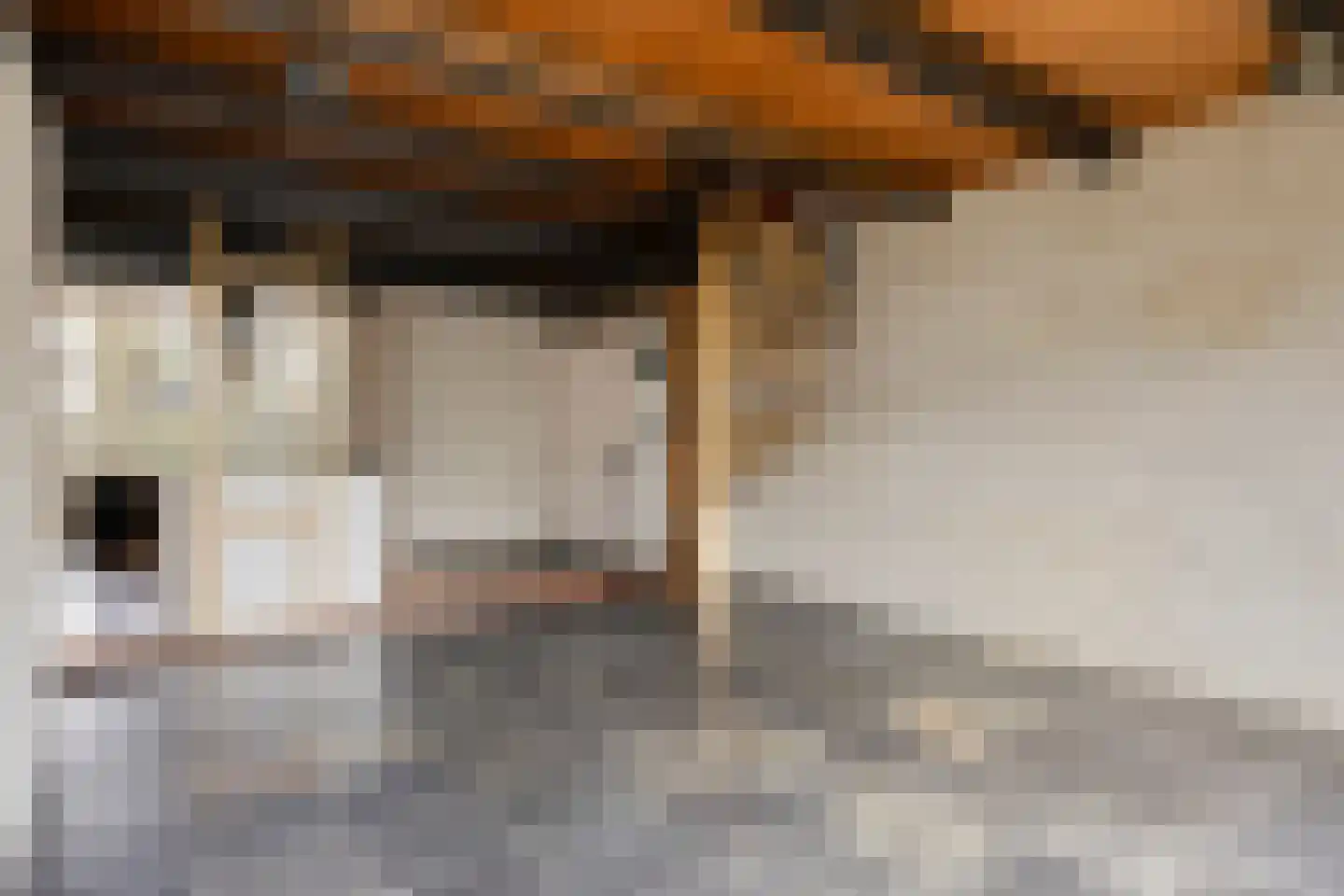 Dorpsstraat 43 Koudekerk aan den Rijn thumbnail 22