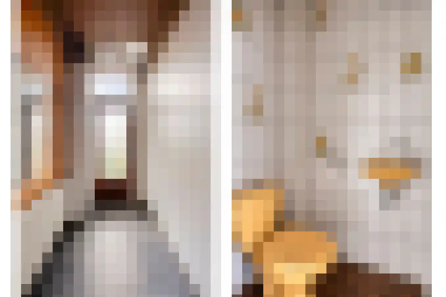 Dorpsstraat 43 Koudekerk aan den Rijn thumbnail 23
