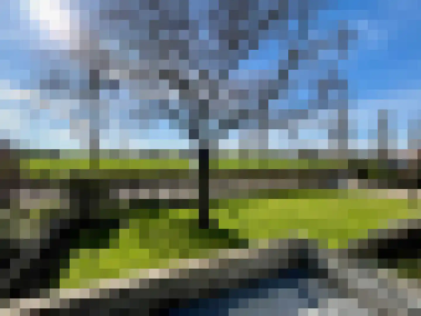 Dorpsstraat 43 Retranchement thumbnail 19