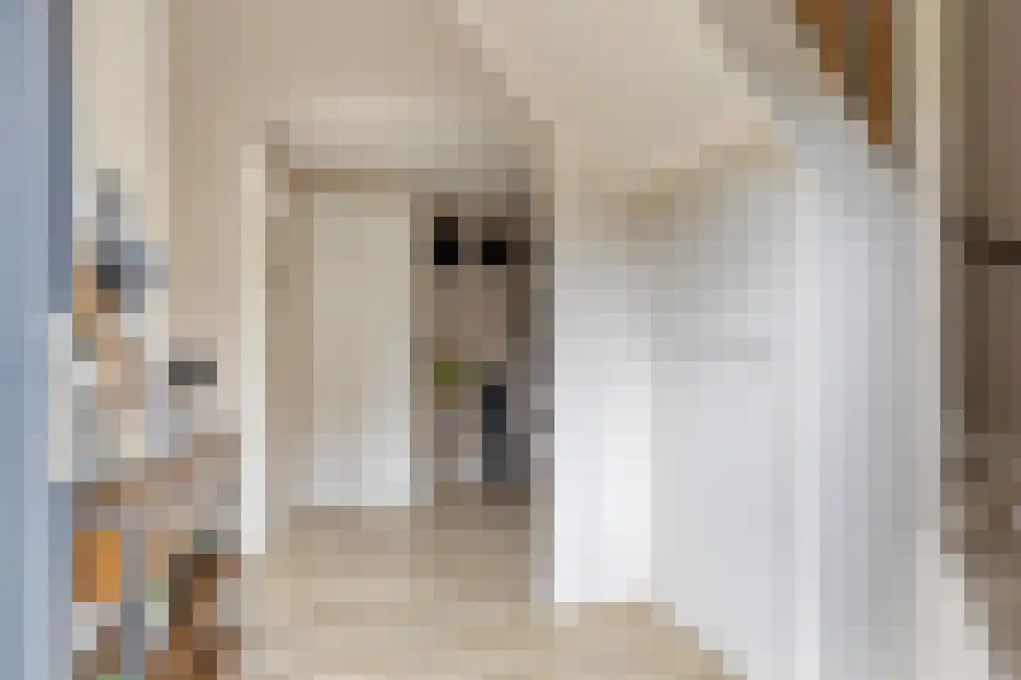 Dorpsstraat 43 Tynaarlo thumbnail 12