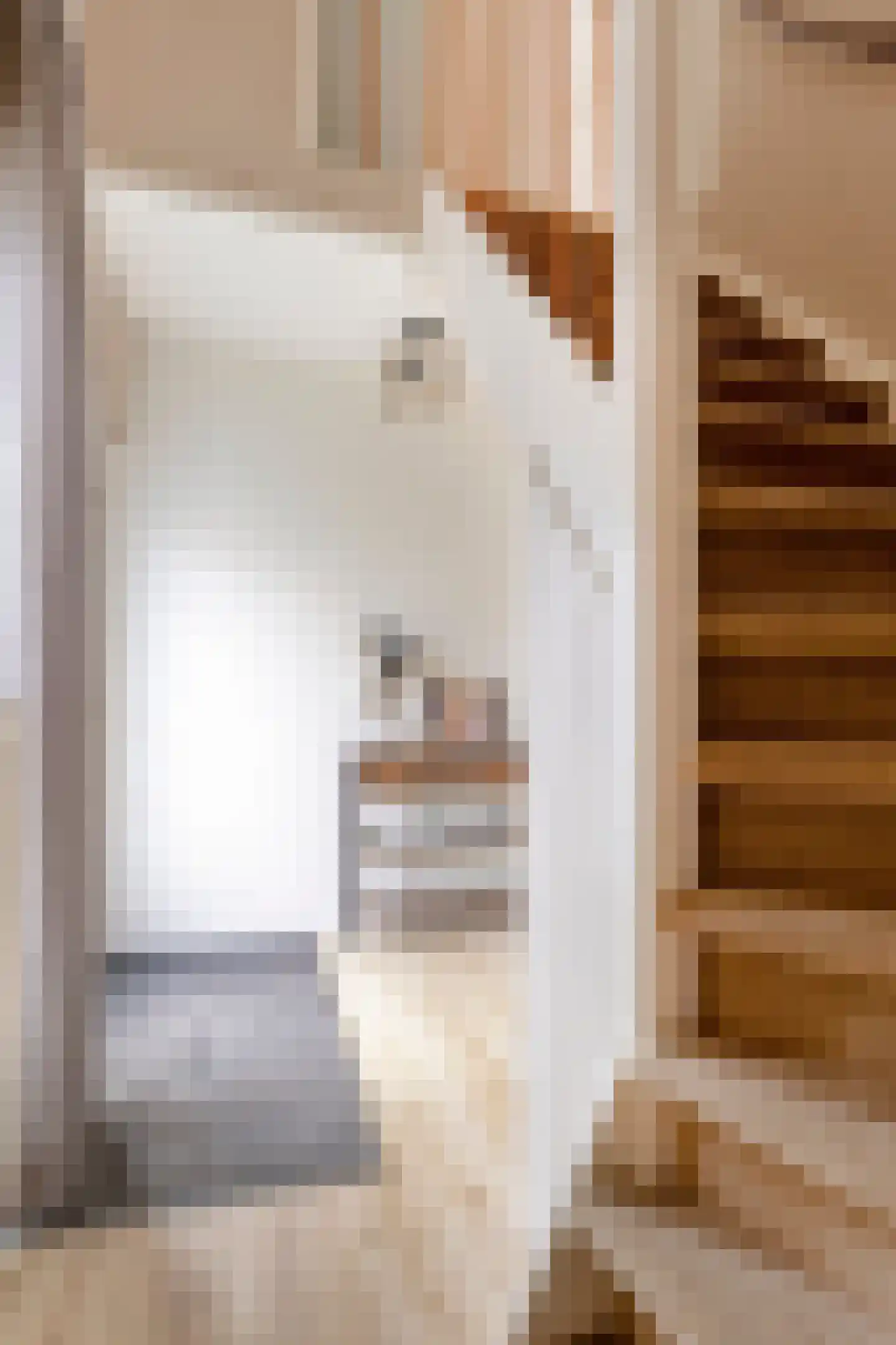 Dorpsstraat 43 Tynaarlo thumbnail 13