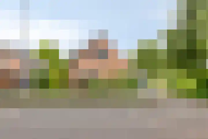 Dorpsstraat 43 Zuidlaarderveen thumbnail 29