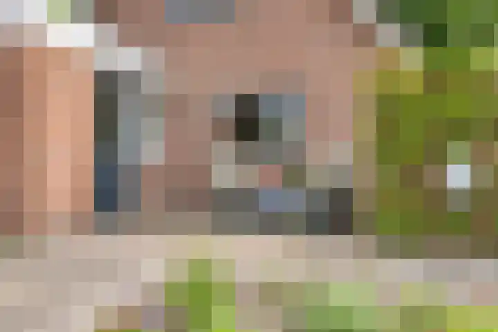 Dorpsstraat 43 Zuidlaarderveen thumbnail 30