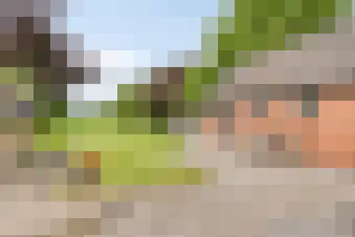 Dorpsstraat 43 Zuidlaarderveen thumbnail 32