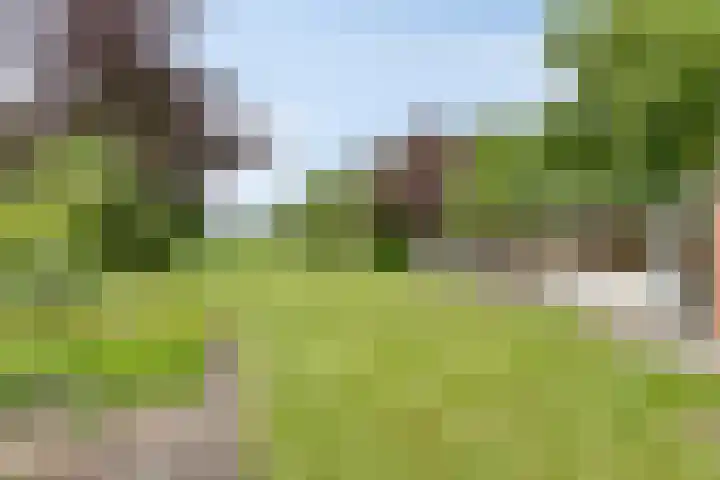 Dorpsstraat 43 Zuidlaarderveen thumbnail 36