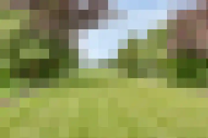 Dorpsstraat 43 Zuidlaarderveen thumbnail 37