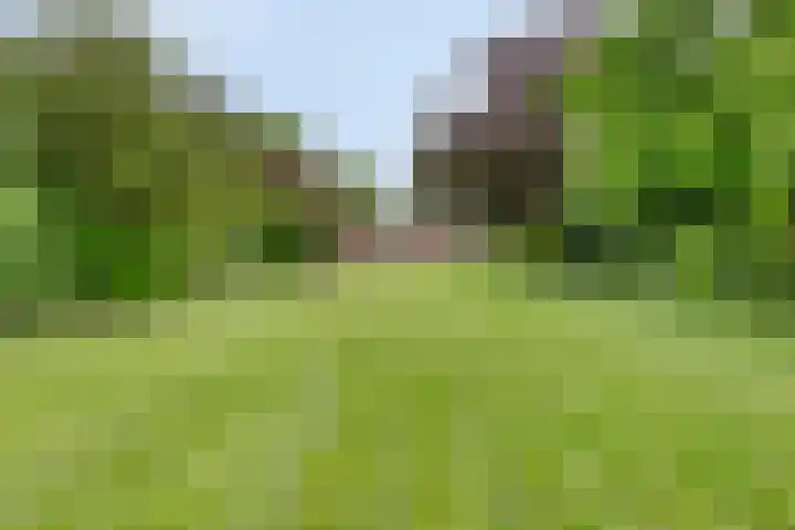 Dorpsstraat 43 Zuidlaarderveen thumbnail 38
