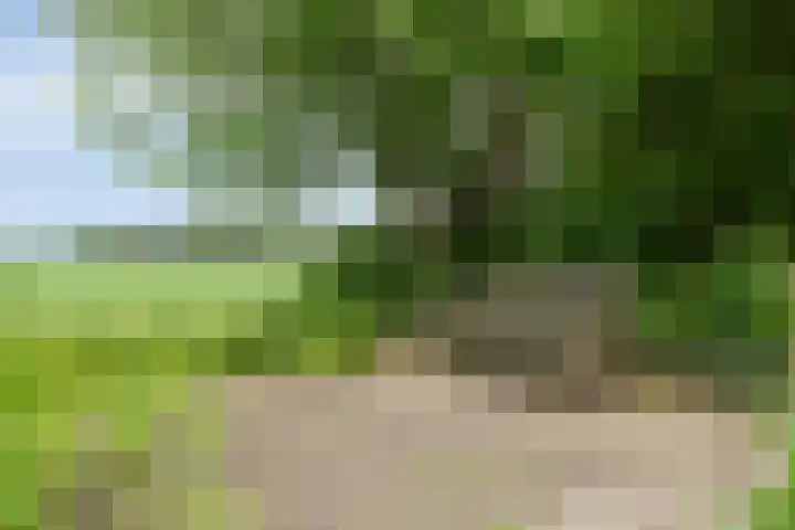Dorpsstraat 43 Zuidlaarderveen thumbnail 39