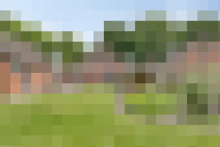 Dorpsstraat 43 Zuidlaarderveen thumbnail 4