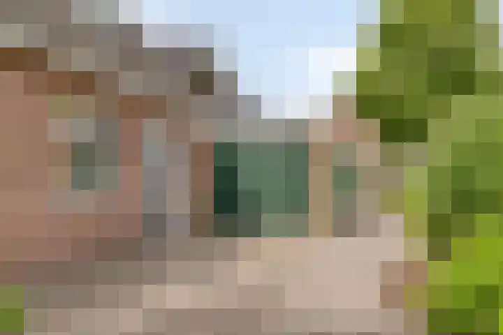 Dorpsstraat 43 Zuidlaarderveen thumbnail 6