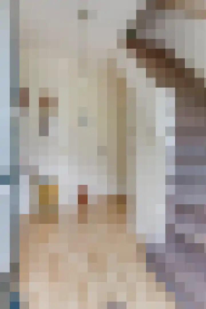 Dorpsstraat 43 Zuidlaarderveen thumbnail 8