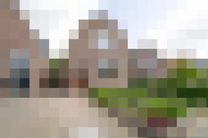 Dorpsstraat 439 Assendelft thumbnail 11