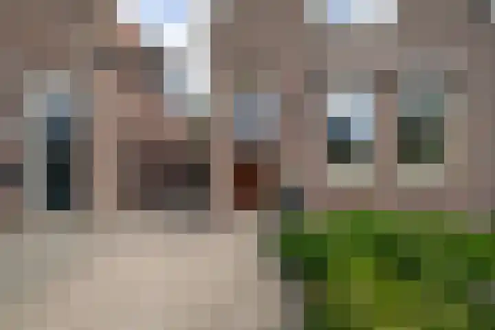 Dorpsstraat 439 Assendelft thumbnail 12
