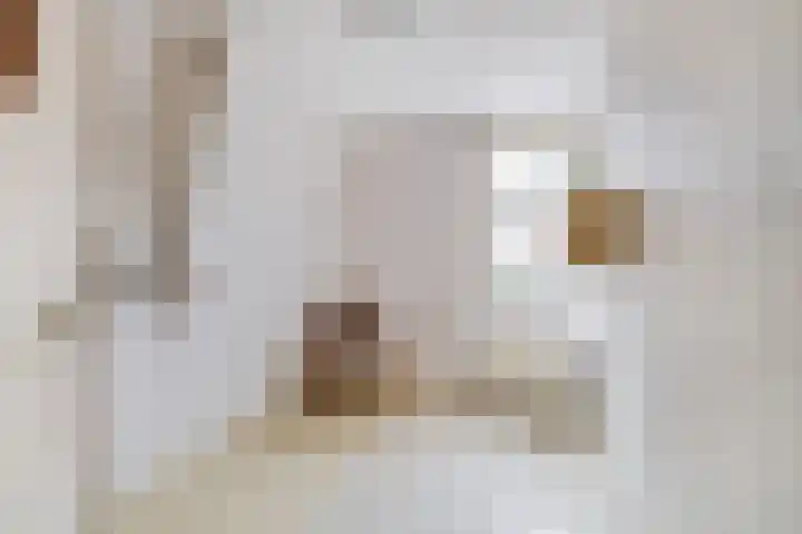 Dorpsstraat 439 Assendelft thumbnail 32