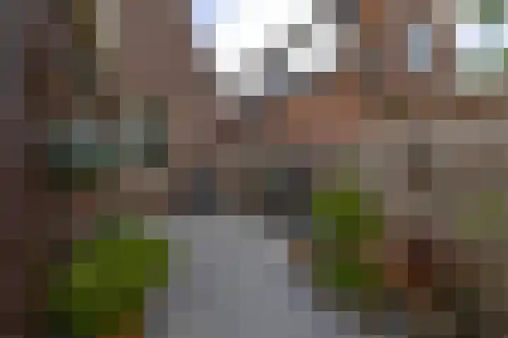 Dorpsstraat 439 Assendelft thumbnail 38