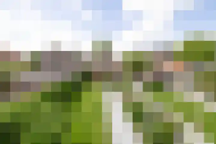 Dorpsstraat 439 Assendelft thumbnail 4