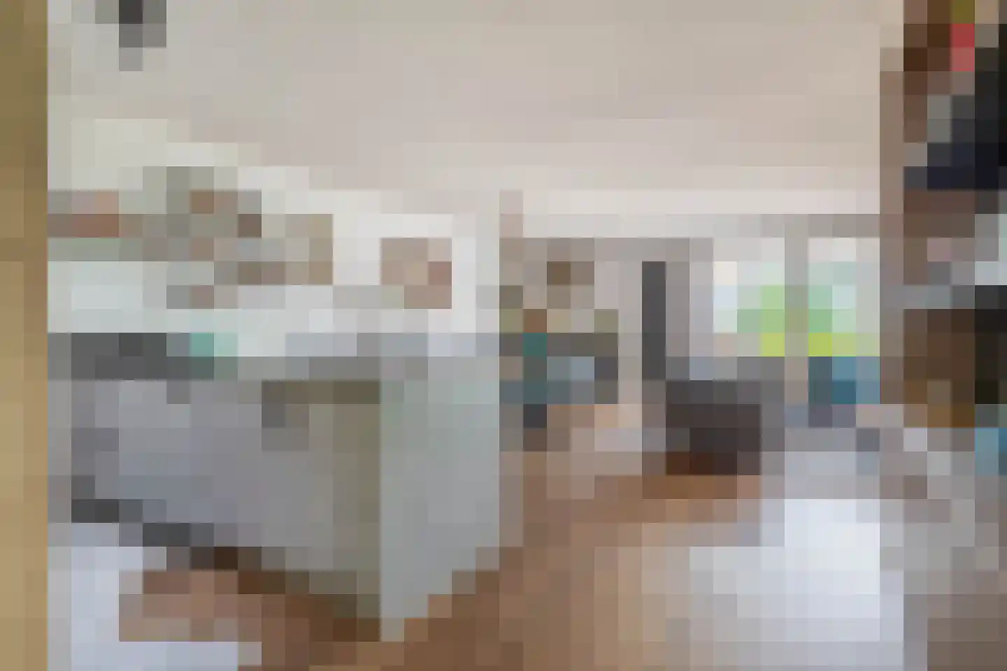 Dorpsstraat 44 A Assendelft thumbnail 13
