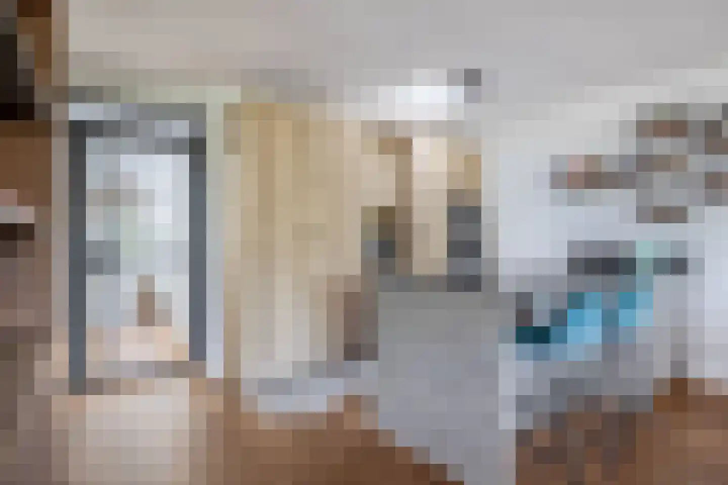 Dorpsstraat 44 A Assendelft thumbnail 17