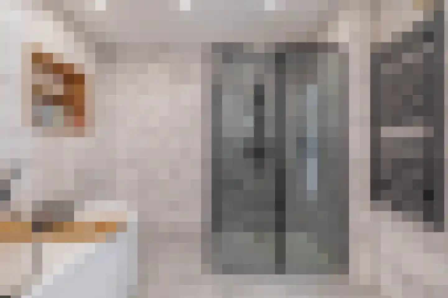 Dorpsstraat 44 A Assendelft thumbnail 35