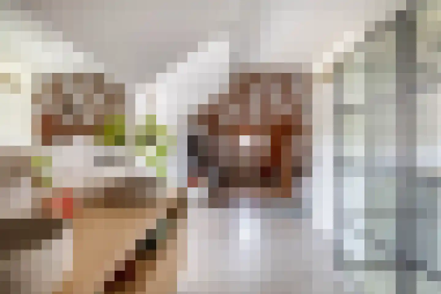Dorpsstraat 44 A Assendelft thumbnail 60