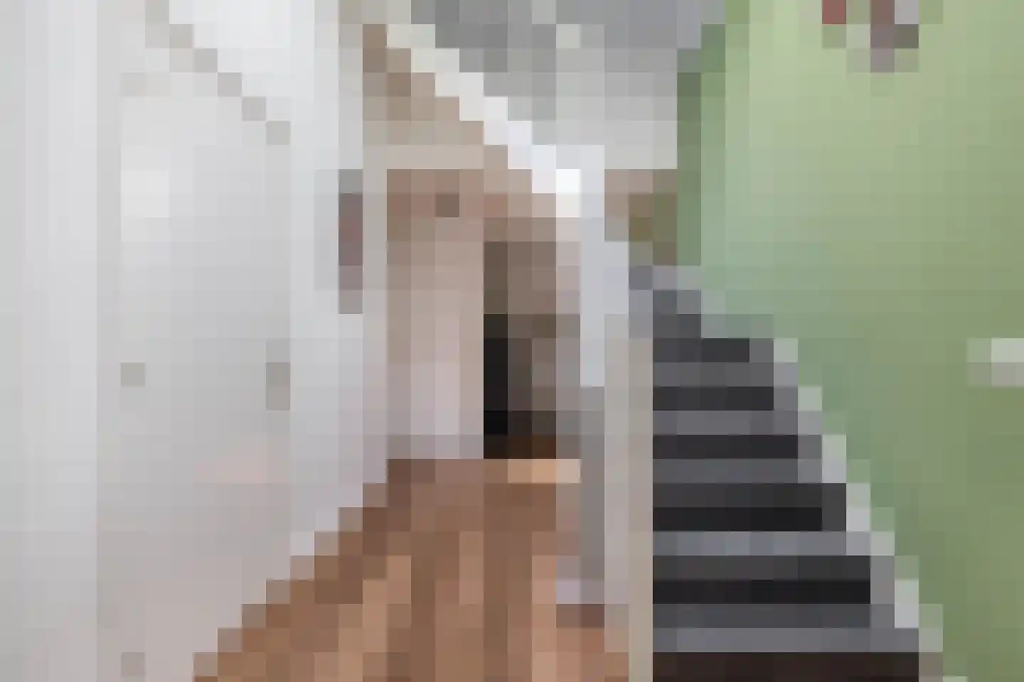 Dorpsstraat 44 A Assendelft thumbnail 9