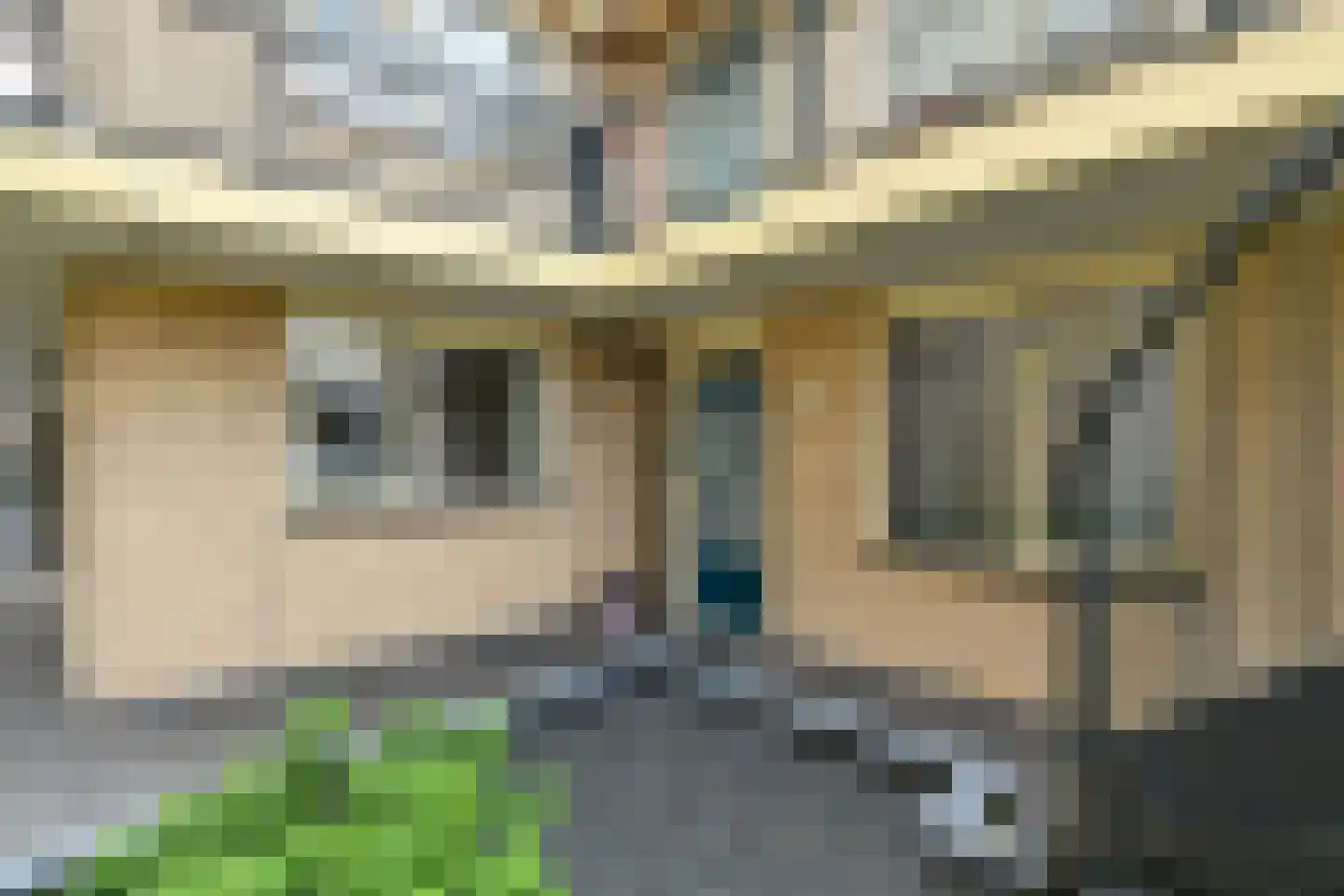 Dorpsstraat 44 a Elst thumbnail 15
