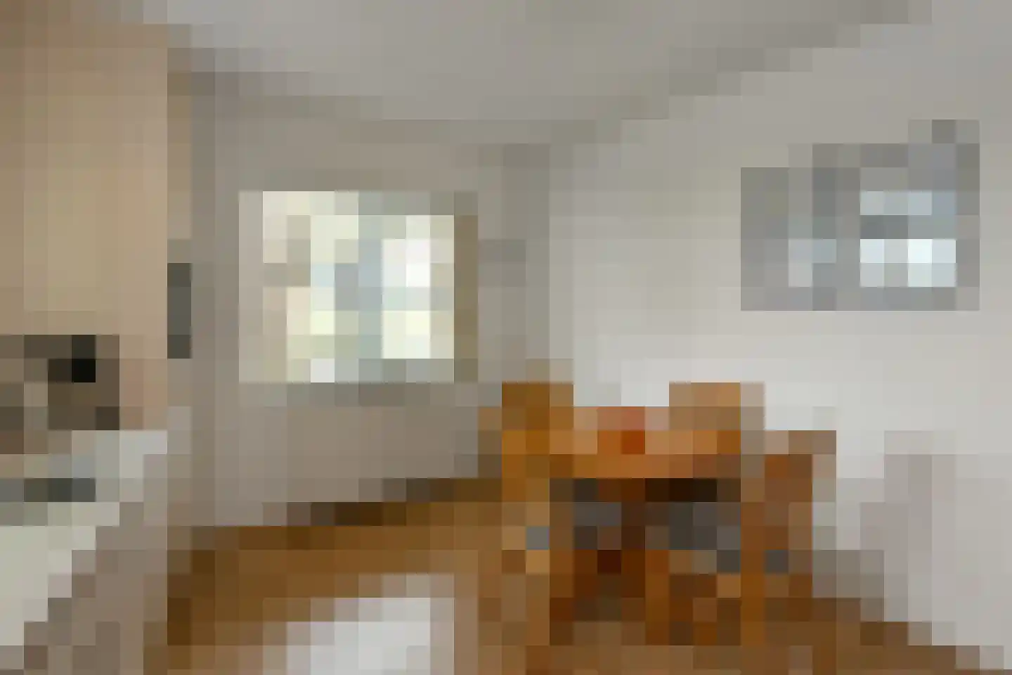 Dorpsstraat 44 a Elst thumbnail 27