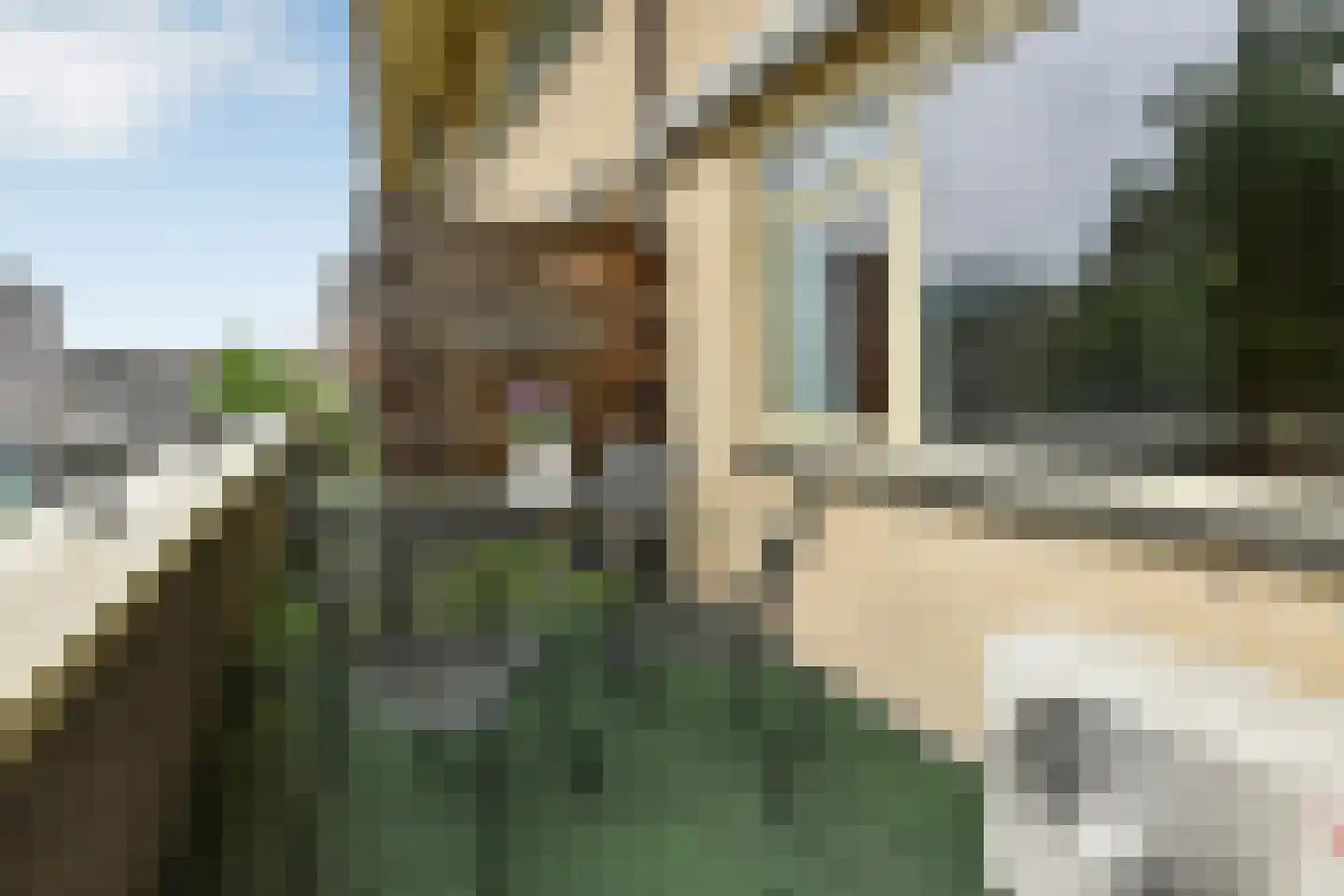 Dorpsstraat 44 a Elst thumbnail 31