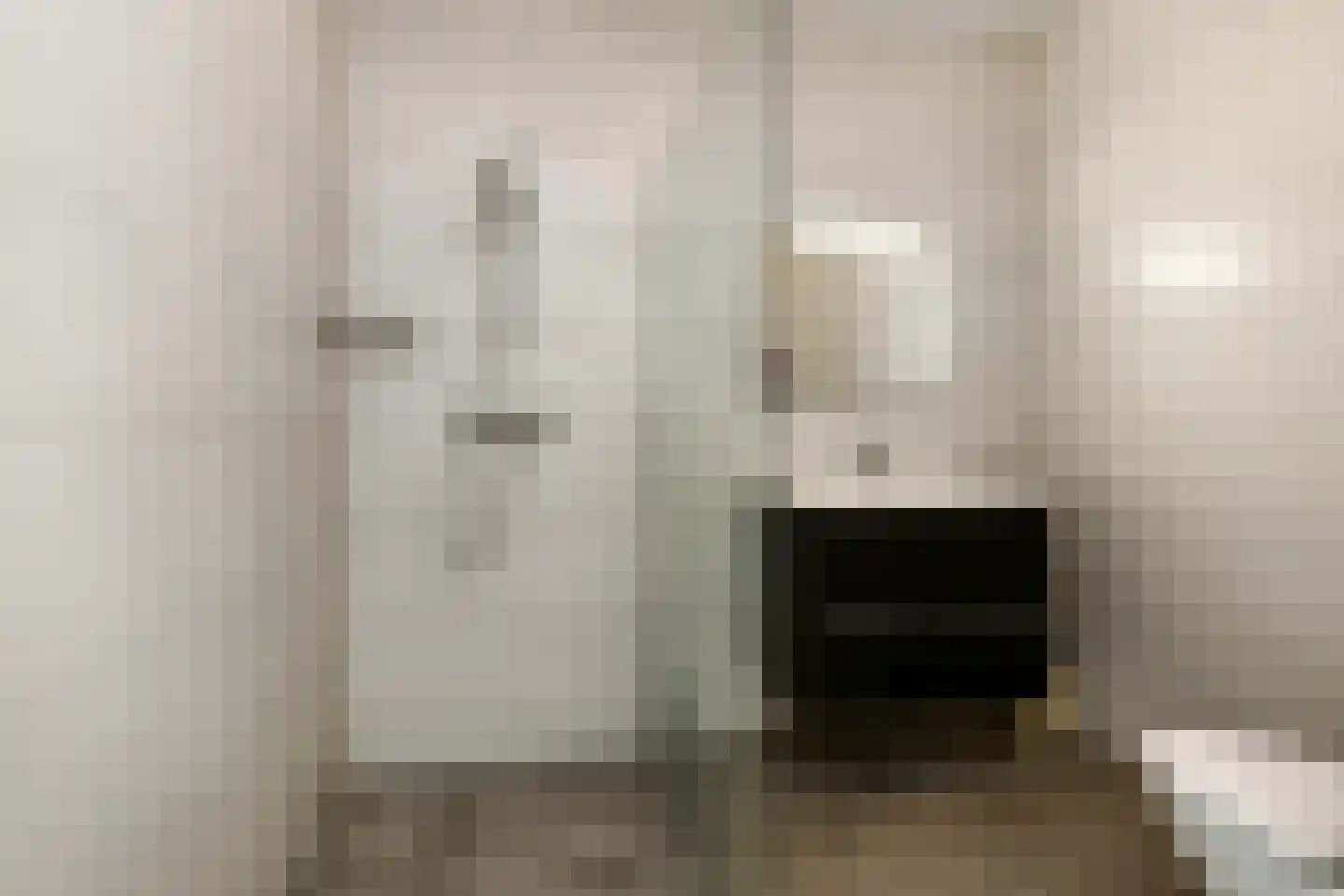 Dorpsstraat 44 a Elst thumbnail 39