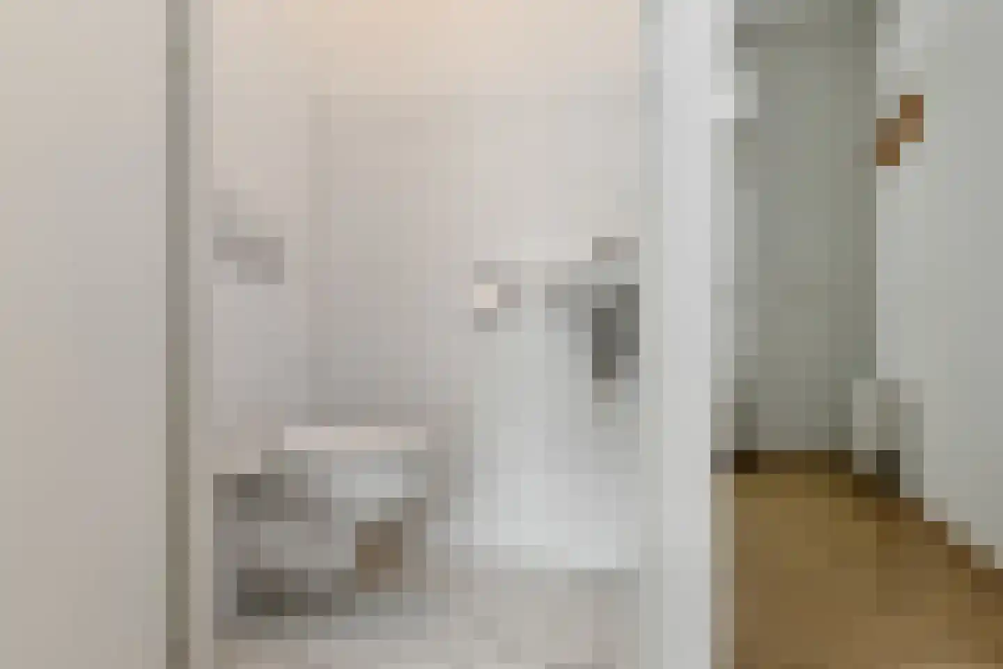 Dorpsstraat 44 a Elst thumbnail 41