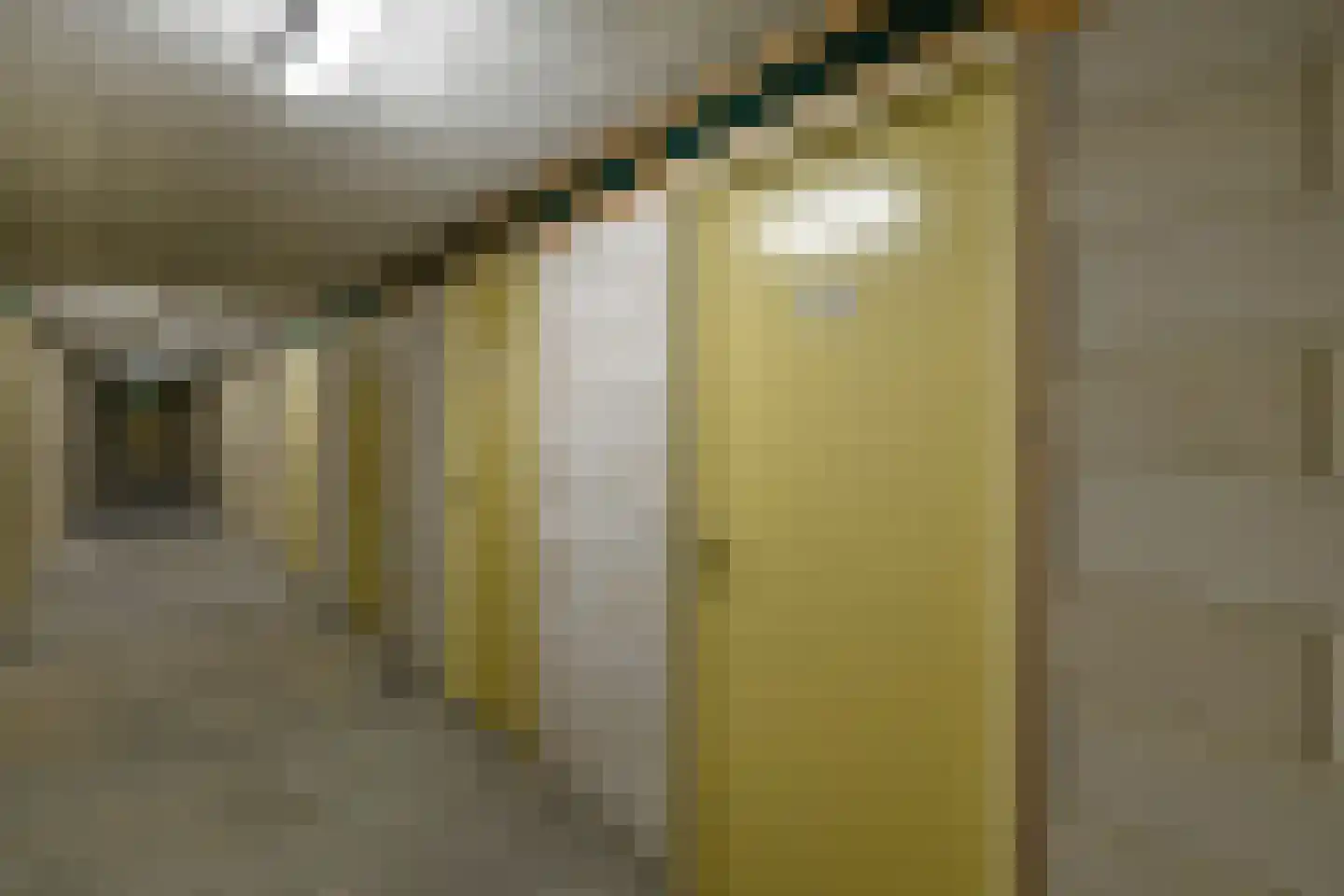 Dorpsstraat 44 a Elst thumbnail 45