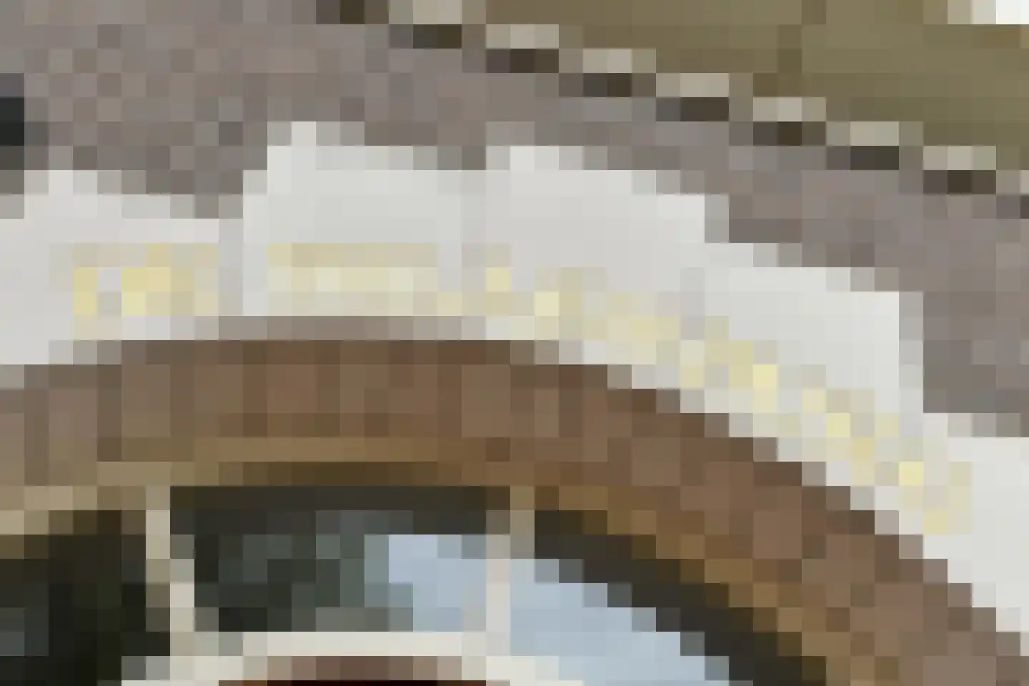 Dorpsstraat 44 a Elst thumbnail 9
