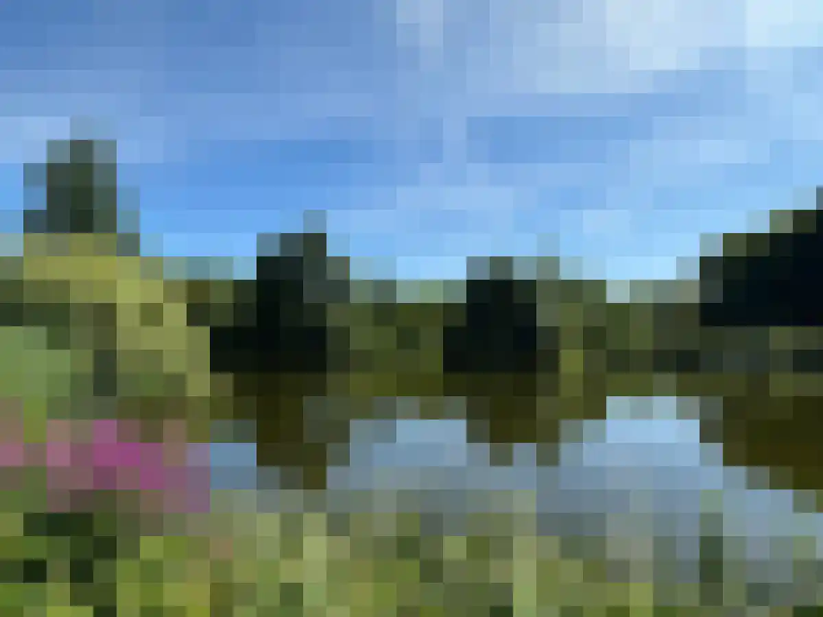 Dorpsstraat 44 Diepenveen thumbnail 5