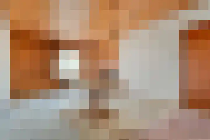 Dorpsstraat 44 Elim thumbnail 12