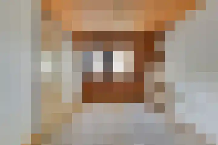 Dorpsstraat 44 Elim thumbnail 20
