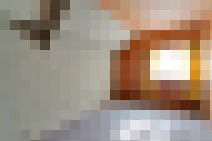 Dorpsstraat 44 Elim thumbnail 21