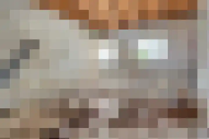 Dorpsstraat 44 Elim thumbnail 29