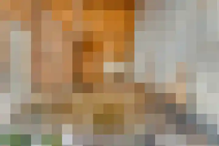 Dorpsstraat 44 Elim thumbnail 30