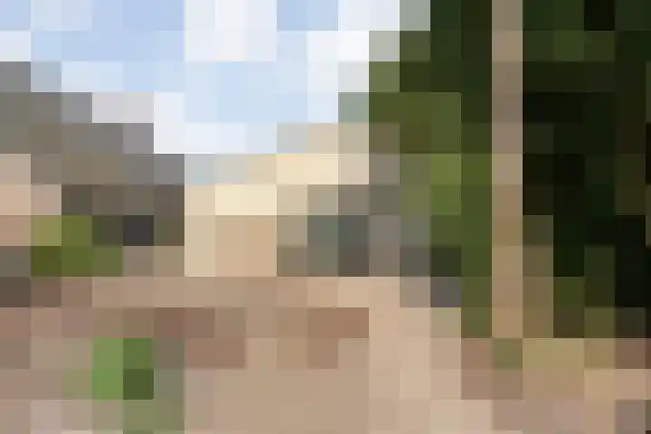 Dorpsstraat 44 Elim thumbnail 31