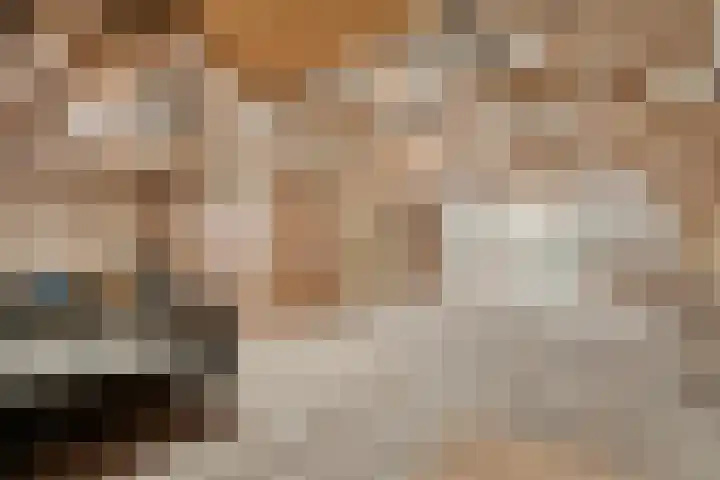Dorpsstraat 44 Elim thumbnail 35
