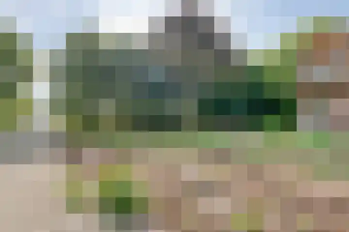 Dorpsstraat 44 Elim thumbnail 39