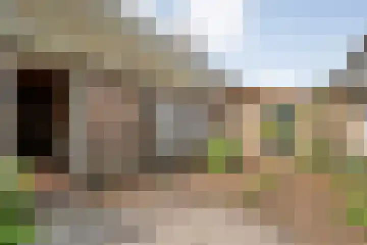 Dorpsstraat 44 Elim thumbnail 40