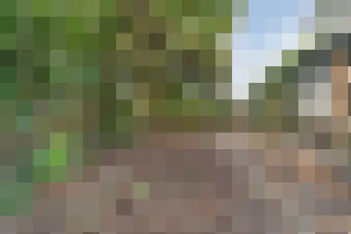 Dorpsstraat 44 Elim thumbnail 41