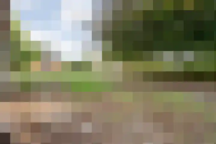 Dorpsstraat 44 Elim thumbnail 43