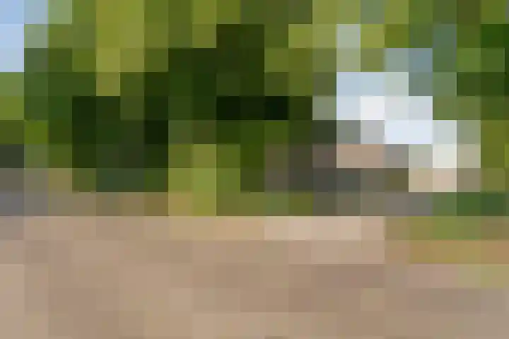 Dorpsstraat 44 Elim thumbnail 5