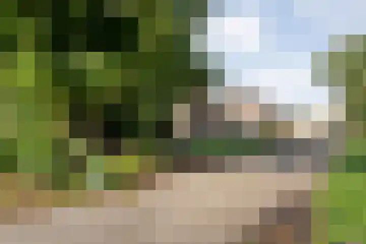 Dorpsstraat 44 Elim thumbnail 6